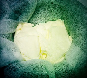 Coconut Oil Post - Cream Cheese Setup