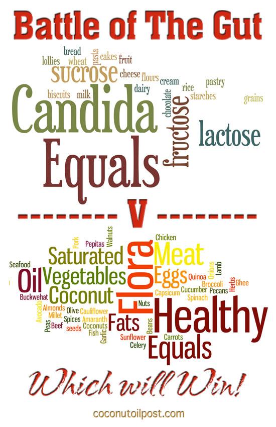 Candida v Healthy Flora Info-graphic